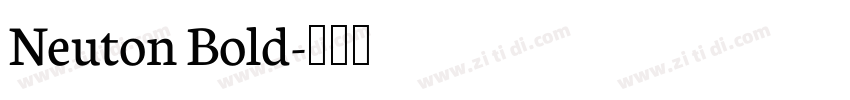 Neuton Bold字体转换